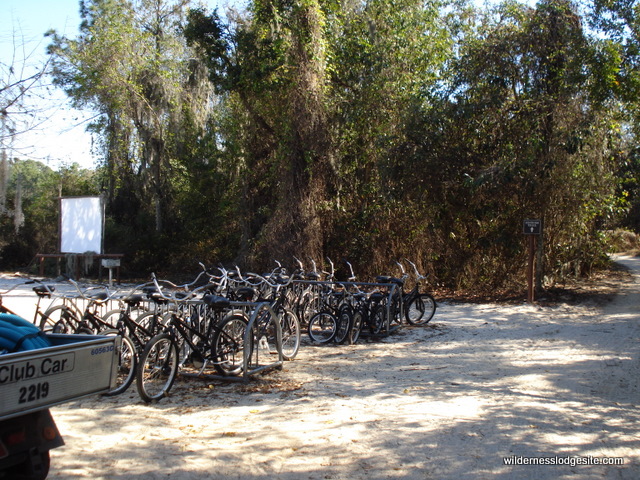 Bike Rental and Nature Trail